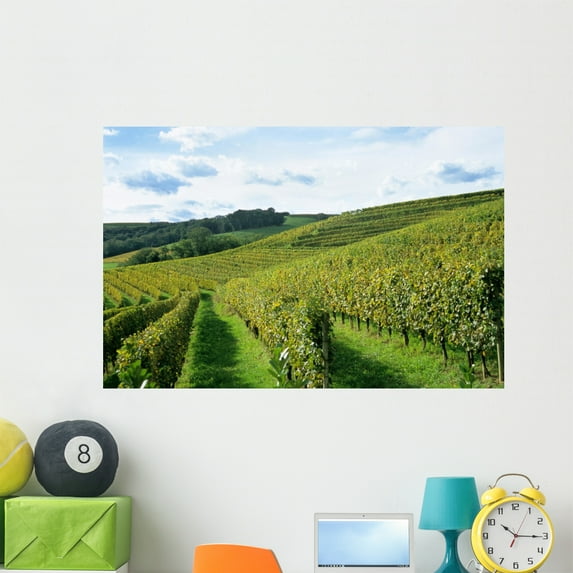 French Winery Wall Mural by Wallmonkeys Peel and Stick Graphic (48 in W x 31 in H) WM3476