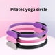 thumbnail image 4 of Yoga Equipo Portátil 6 Piezas Juego De Anillos De Pilates Ejercicio En El Hogar Equipo De Gimnasio Mujeres Incluyen Correa De Estiramiento De Bolas Banda De Bucle Calcetines Moyic OD009592-03, 4 of 7