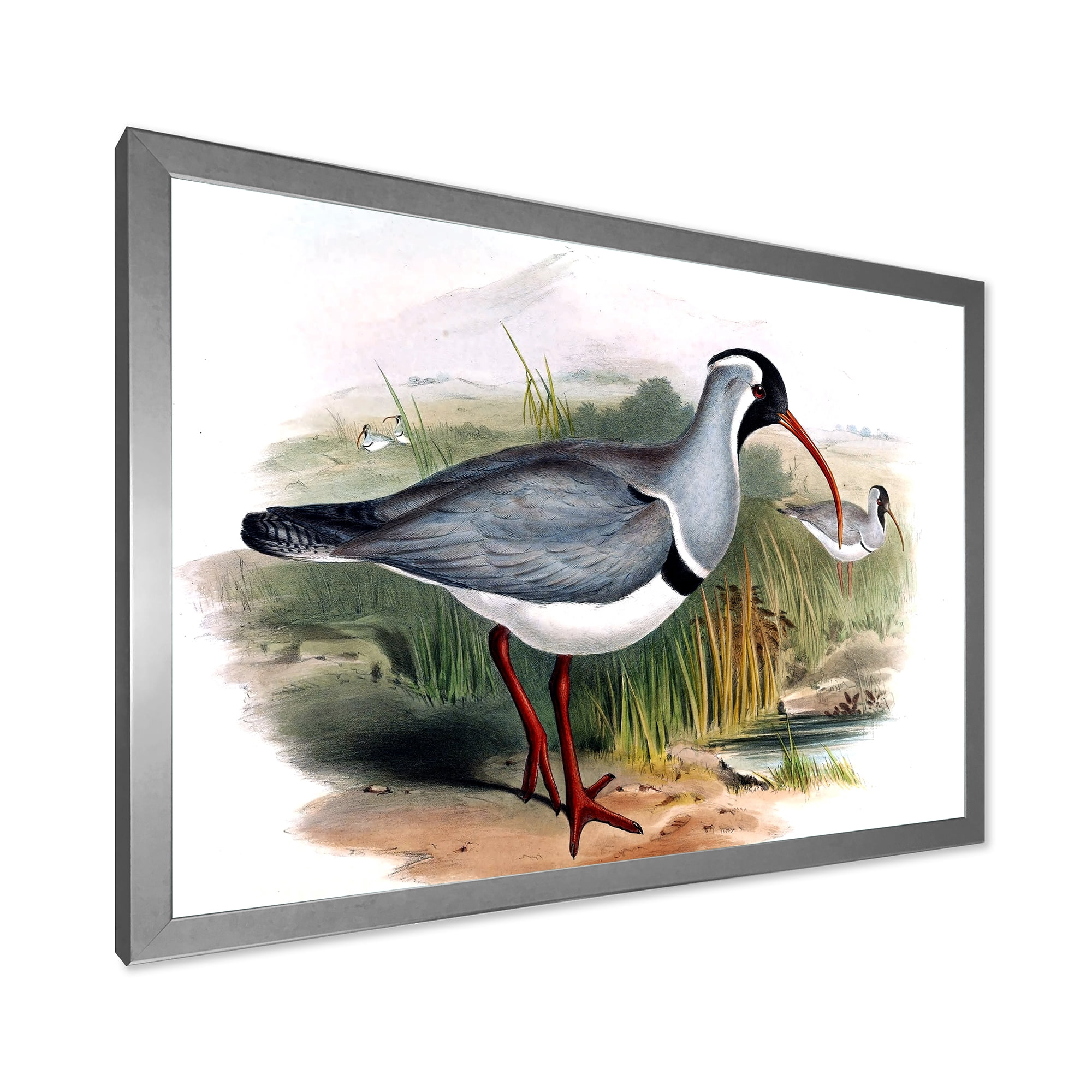 Designart 'Vintage Countryside Birds In Wild' Farmhouse Framed Art Print