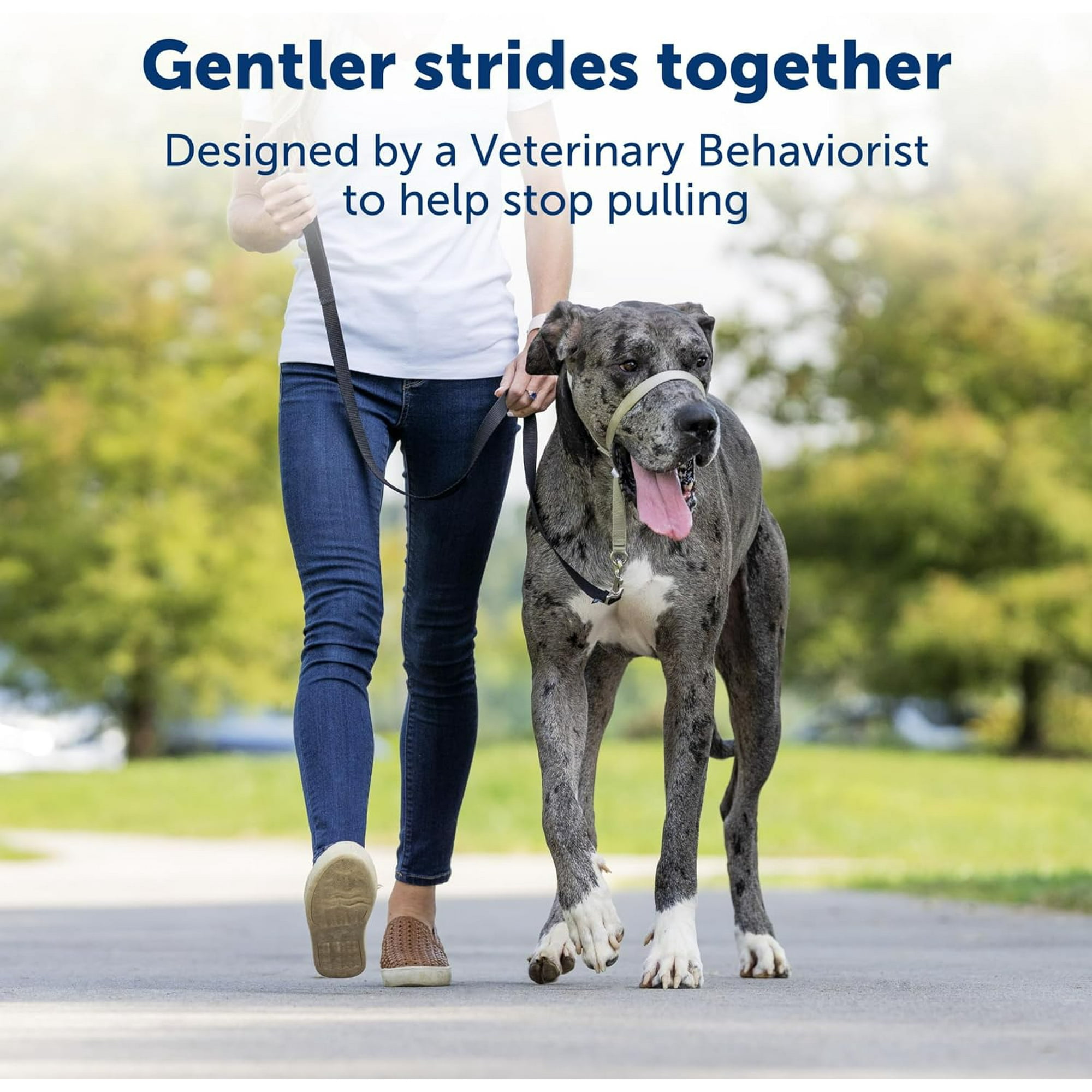 Gentle Leader No Pull Dog Headcollar