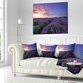thumbnail image 2 of Designart Beautiful Lavender Flowers At Sunset - Floral Throw Pillow - 16x16, 2 of 4