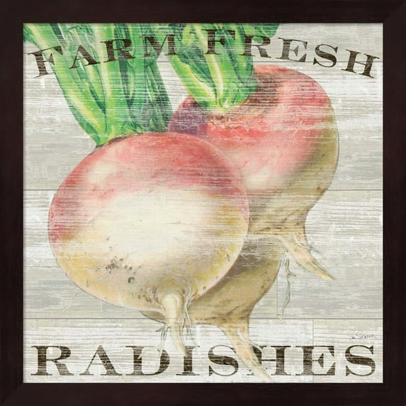 Metaverse Sue Schlabach 'Farm Fresh Radishes' Framed Art