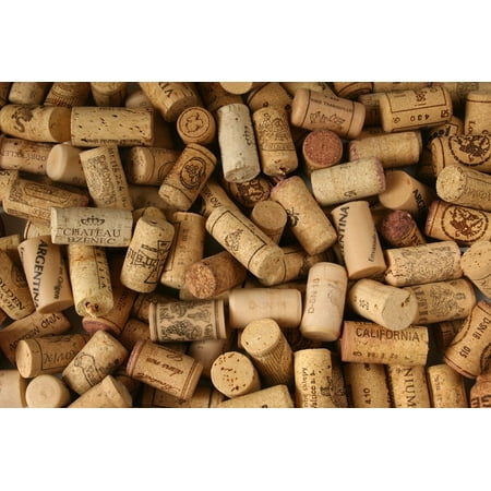 Wine Cork Kits - Premium Recycled Corks, Natural Wine Corks From Around the World - 50 Count