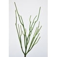 thumbnail image 3 of 23" Faux Green Pencil Cactus Succulent Stem, 3 of 6