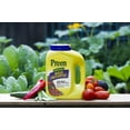 thumbnail image 3 of Preen Natural Vegetable Garden Weed Preventer - 5 lb. - Covers 250 sq. ft., 3 of 9