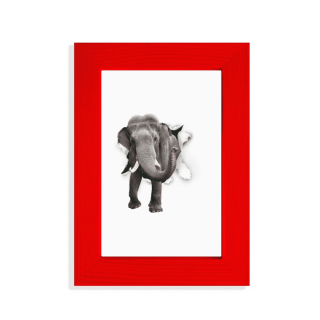 Le Papier d'Animaux Se Casse, Impact sur les Éléphants, Affichage d'Images, Cadre Photo Rouge