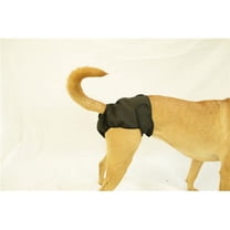 Seasonals  Washable Female Dog Diaper - Black - Extra Small