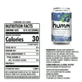 thumbnail image 4 of Humm Kombucha Tea, Blueberry Mint, Probiotic, Organic, 12oz Can, 4 of 6