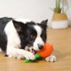 thumbnail image 5 of Bonito juguete chirriante para perros, resistente a mordeduras, suministros de goma, chirriador de mascotas, juguetes para masticar razas de animales , NARANJA Yinane juguetes chirriantes, 5 of 8