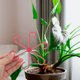 thumbnail image 4 of OULII 12Ud Sujetadores Para Plantas Trepadoras En Jardín Clips ABS Resistentes, 4 of 6