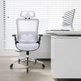 thumbnail image 2 of Ergonomic Mesh Office Chair, High Back Desk Chair with Adjustable Headrest and Flip-Up Arms, High Back, Lumbar Support, Tilt and Lock Function, Blade Wheels, KD Chrome Metal Legs, Office Use, 2 of 7