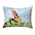 thumbnail image 1 of Betsy Drake KS815 11 x 14 in. Jack Rabbit Right Small No-Cord Pillow, 1 of 1