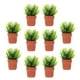 thumbnail image 1 of 10 piezas de plantas en maceta en miniatura, decoración de bonsái para el hogar, simulación de planta en maceta, 1 of 5