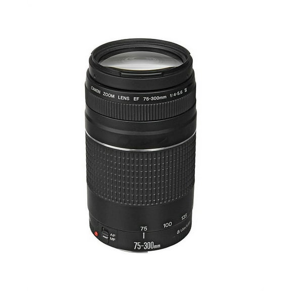 Restored Canon 6473A003 EF 75300mm f/45.6 III Telephoto Zoom Lens (Refurbished)