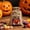D, variant on SHJHENG Halloween Drawstring Candy Bags Reusable Kids Bags Portable Linen Gift Goodie Bags Multipurpose Halloween Party Pouches For Children Holiday Decor