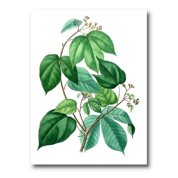 Designart ' Ancient Green Leaves Plants III ' Traditional Canvas Wall Art Print