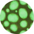 thumbnail image 1 of Ahgly Tapis Rond Lavable en Machine Intérieur Transitionnel Vert Émeraude, 7 Pieds Rond, 1 of 7