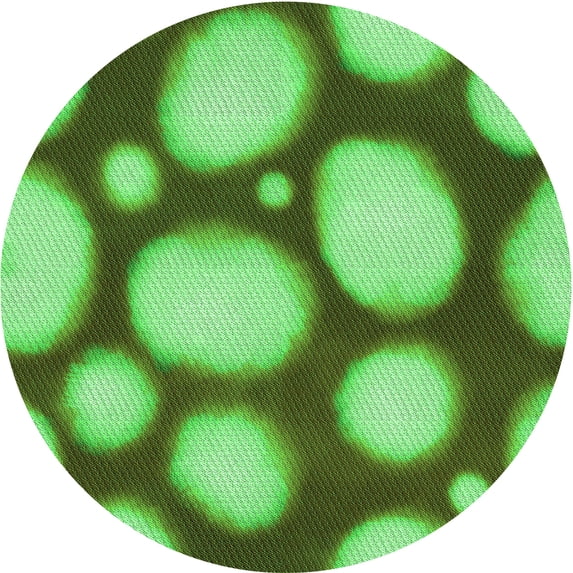 Ahgly Company Machine Washable Indoor Square Transitional Emerald Green Area Rugs, 3' Square