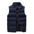 thumbnail image 1 of Men's Quilted Vest For Warmth s202412247838, 1 of 2