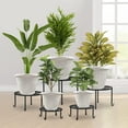 thumbnail image 3 of DEA Plastic Flower Pots Planters For Indoor Plants,3 Pack 10 Inch White Plant Pots With Drainage Hole&Tray,Modern Decorative Large Plant Pot With Saucer For Indoor Outdoor Plants Garden House Planter, 3 of 14