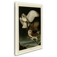 thumbnail image 2 of Trademark Fine Art 'Barn Owlplate 171' Canvas Art by Audubon, 2 of 3