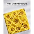 thumbnail image 4 of Preservd Rose in Acrylic Box Eternal Flower That Lasts 4 Years Gifts for Girlfriend Wife Mom Women Valentines Day Anniversary Birthday Mothers Day(Sky Blue), 4 of 5