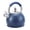 Blue, variant on HausRoland Stainless Steel Whistling Kettle with Ergonomic Silicone Handle 3.2 Qt (3 L) Tea Kettle for Stove Top Blue
