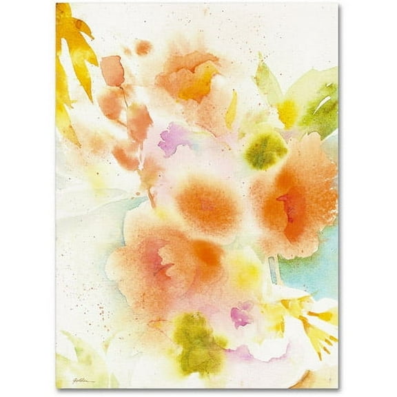 Trademark Fine Art "Orange Reflection" Canvas Art by Sheila Golden