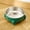 Green, variant on Elevated Stainless Steel Cat Bowl for Anti-Vomiting & Whisker Relief - Stainless Steel Raised Feeder,Non-Slip, Dishwasher Safe for Indoor Cats