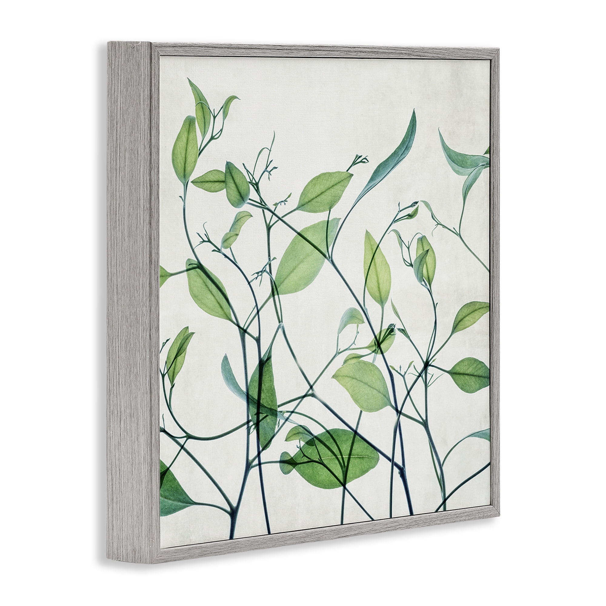 Stupell Industries Modern Vine Pattern Botanical & Floral Painting Gray Framed Art Print Wall Art, 24 x 24