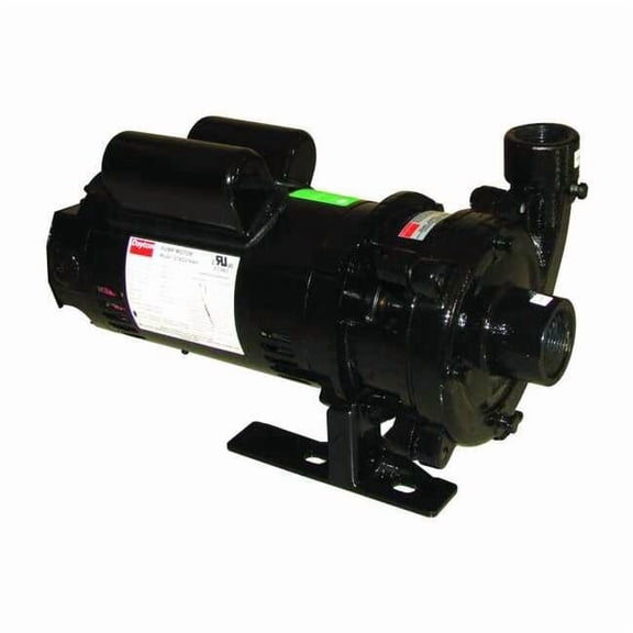 Dayton Booster Pump,1HP,1 Phase, 115/230V AC 45MW16