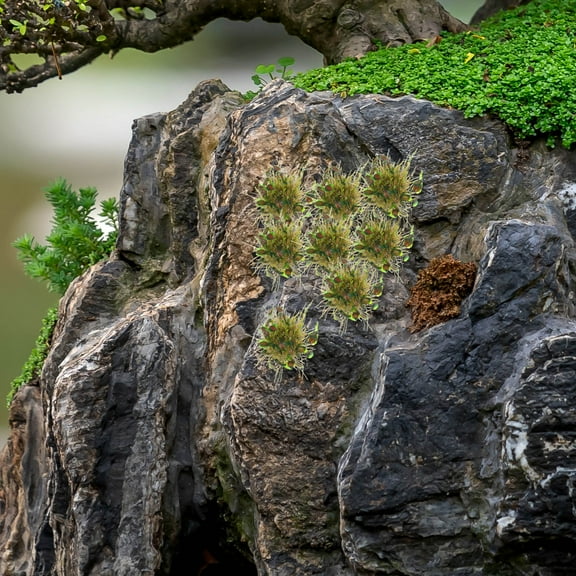 Homoyoyo Artificial Grass Cluster Green Resin Easy Installation for Home Decor