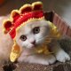 thumbnail image 2 of Gorro de punto para mascotas, accesorios para cosplay, tocado, ropa de transformación divertida, gorro para gatos y perros, 2 of 2