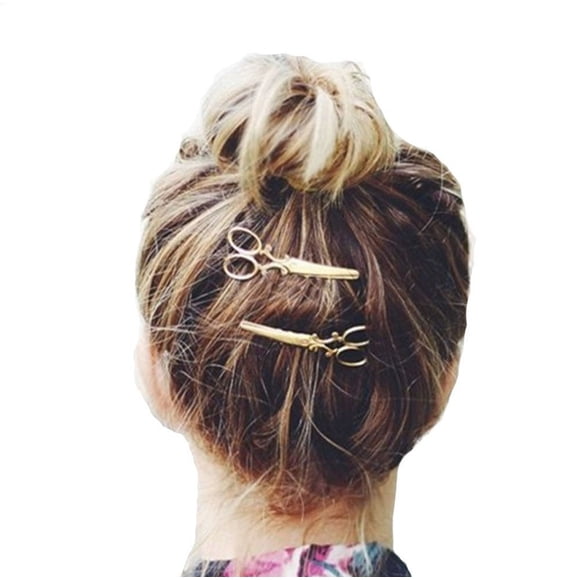 Elegant Hair Clips Headpiece Pair for Women and Girls Stylish Hair Accessories and Care