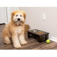 thumbnail image 5 of Internet's Best Traditional Elevated Pet Feeder - 2 Small Dog Food Bowls, 5 of 9