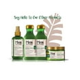 thumbnail image 2 of Maui Moisture Thicken & Restore Hair Bamboo Fibers Shampoo 13 oz, 3-Pack, 2 of 6