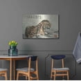 thumbnail image 4 of Luxe Metal Art 'Tiger Relaxing' by River Han, Metal Wall Art, 36"x24", 4 of 7