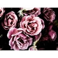thumbnail image 3 of Navas, Emily 14x11 Black Modern Framed Museum Art Print Titled - Baroque Roses, 3 of 5