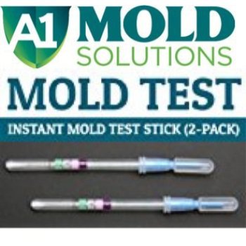 Instant Home Mold Test Walmart Com