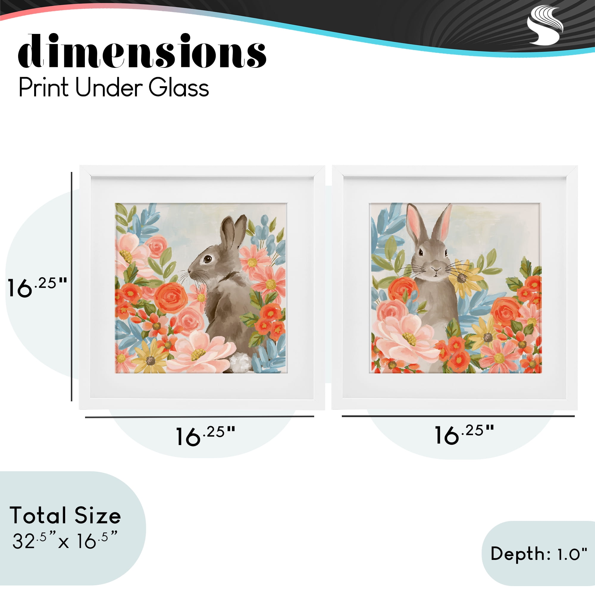 Stupell Industries Bright Bunny Blooms 2 Piece White Framed Print Under Glass Set, design by Cat Thurman Designs