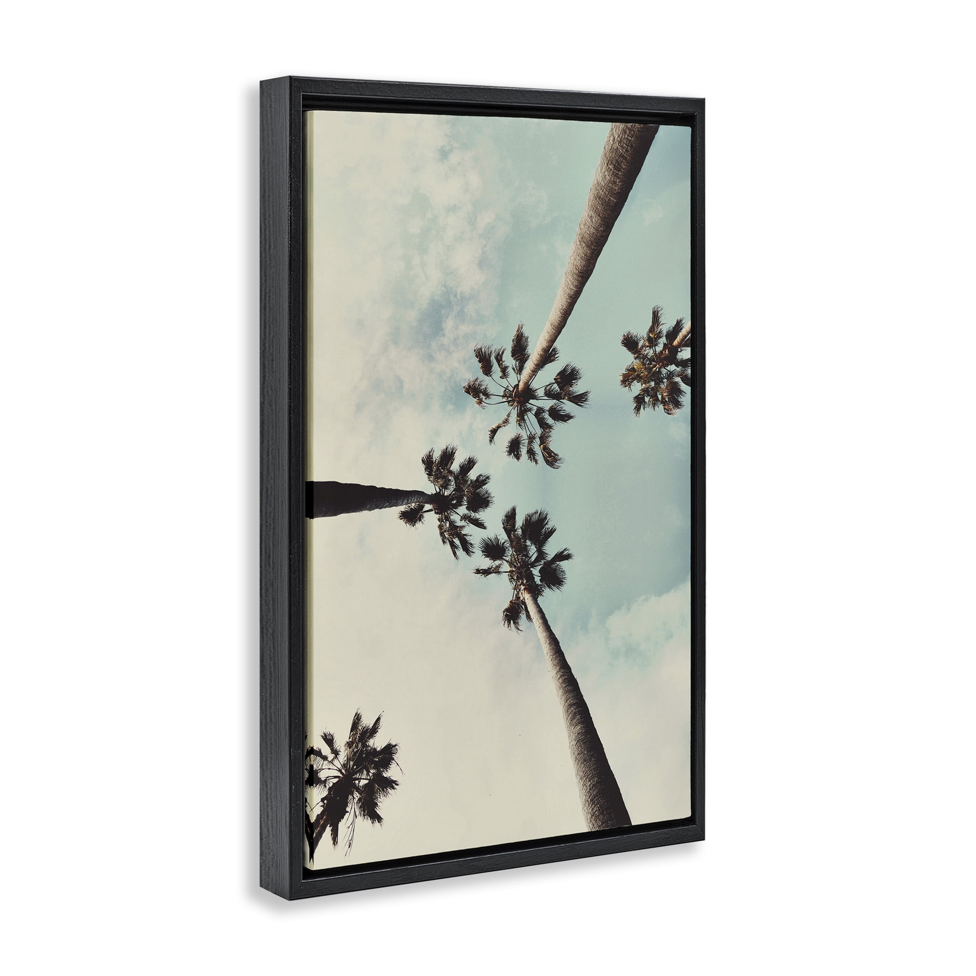 Stupell Industries Centric Tropical Palms Botanical & Floral Photography Black Floater Framed Canvas Art Print Wall Art, 17 x 25