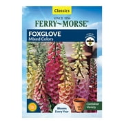Ferry-Morse 140MG Foxglove Mixed Colors Perennial Flower Seeds Full Sun