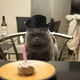 thumbnail image 3 of Sombrero de vaquero para mascotas, para gatos y perros, decoración para fiestas, 3 of 8