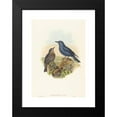 thumbnail image 2 of John Gould 11x14 Black Modern Framed Museum Art Print Titled - Petrocossyphus Cyanus (Blue Rockthrush), 2 of 5
