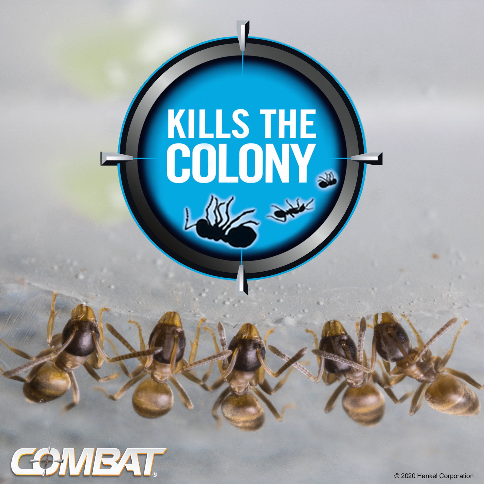Ant Bait Gel – Speed Exterminating