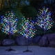 thumbnail image 1 of Juego de 3 luces Lightshare con forma de árbol de cerezo en flor de 1,2 m, 1,5 y 1,8 m, 1 of 6
