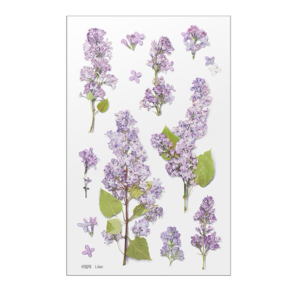 Etiqueta engomada decorativa del ANIMAL DOMÉSTICO pegatinas creativas del diario de DIY para la caja del teléfono móvil del diario Tmvgtek Libre de BPA