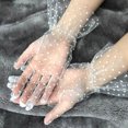 thumbnail image 1 of Qarigey Mujer Guantes Encaje Tul Transparente Puntos Negros Guantes Decoración para Fiesta Boda guantes y mitones D Qarigey AP000748-04, 1 of 6