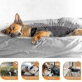 thumbnail image 5 of Dog Anxiety Jacket | Vet Recommended Calming Solution Vest For Fireworks, Thunder, Travel, Separation, 5 of 5