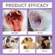 thumbnail image 4 of Gel blanqueador bucal Pet Oral Repair de 3 ml | Pasta dental enzimática para perros, cachorros y gatos | Elimina el sarro, refresca el aliento y repara la sensibilidad y el sangrado | Fórmula h, 4 of 5
